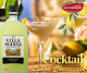 Villa Massa Limoncello - mixtip cocktail Lemon Cheesecake - uw topSlijter.png